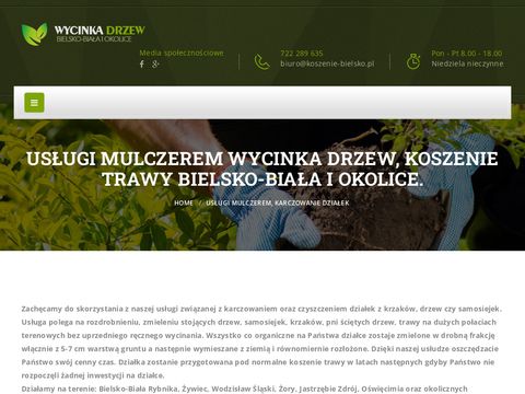 Koszenie trawy, wycinka drzew Bielsko-Biała