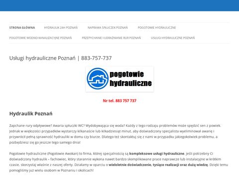 Hydraulik-poznan.com