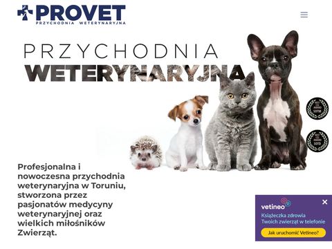 Provet.torun.pl - przychodnia dla zwierząt Toruń