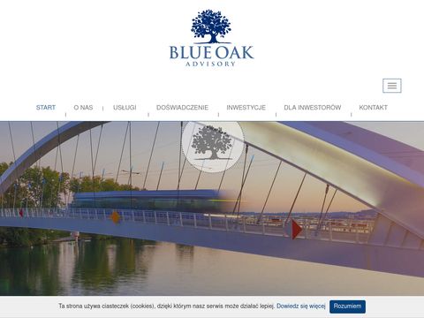 Blueoak.pl