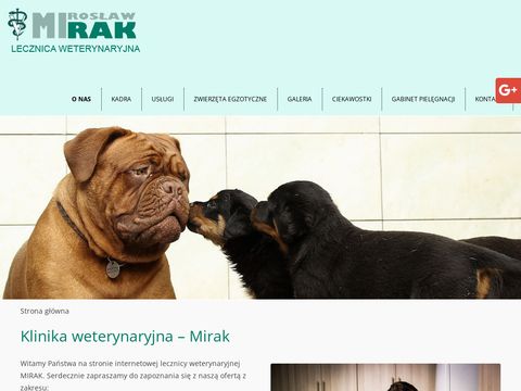 Mirosław Rak pielęgnacja psów Toruń