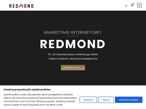 Redmond.pl - pozycjonowanie