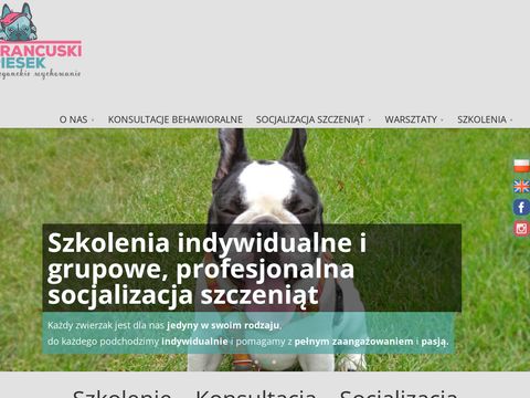 Francuskipiesek.pl - psie przedszkole w Katowicach