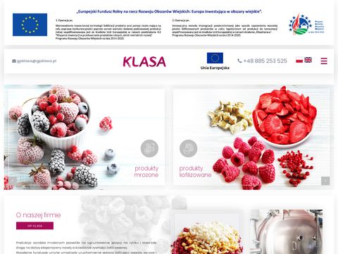 Gpklasa.pl - producent warzyw i owoców lubelskie