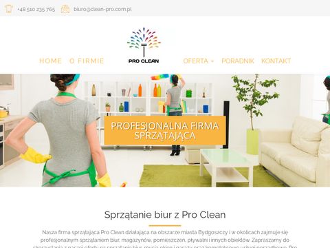Pro Clean firma sprzątająca