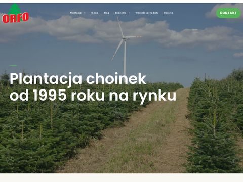Orfo.pl - choinki w doniczce