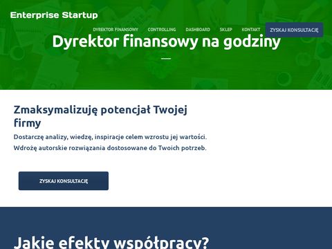 Enterprise Startup - usługi dla biznesu