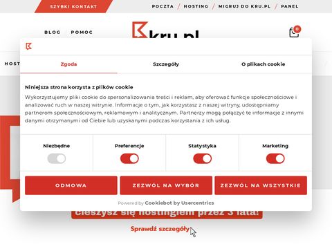 Kru.pl hosting dla firm