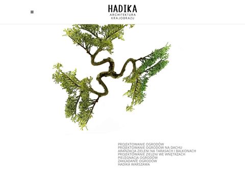 Hadika.pl koncepcja w przestrzeni, architektura