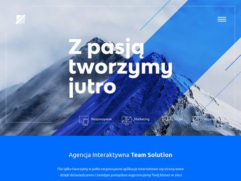 TeamSolution.pl - agencja interaktywna