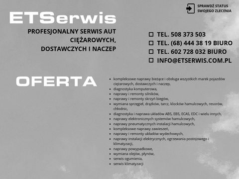 Etserwis.com.pl diagnostyka komputerowa