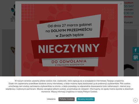 Wetfranciszek.pl leczenie kotów Żory