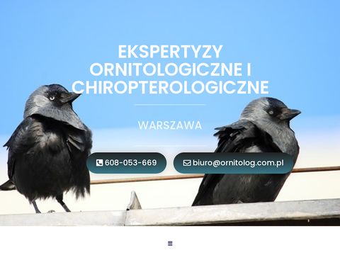 Ornitolog.com.pl opinia ornitologiczna