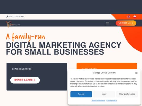 Beebrilliantmarketing.com agencja marketingowa