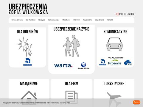 Wilkowska-tuw.pl - ubezpieczenia w Limanowej
