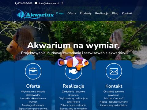 Akwarlux.pl zakładanie akwariów akwaria optiwhite
