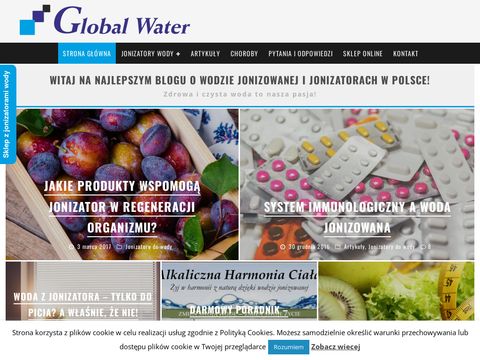 Global Water jonizator