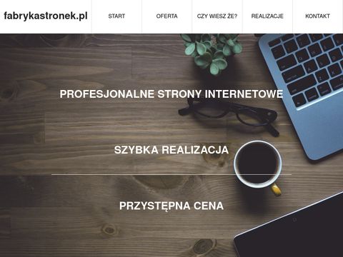 Fabrykastronek.pl strony internetowe Bielsko