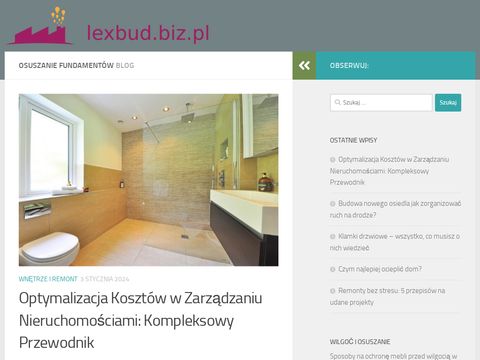 Odgrzybianie ścian - lexbud.biz.pl