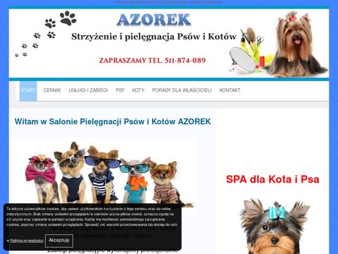 Azorek strzyżenie psów i kotów fryzjer Katowice