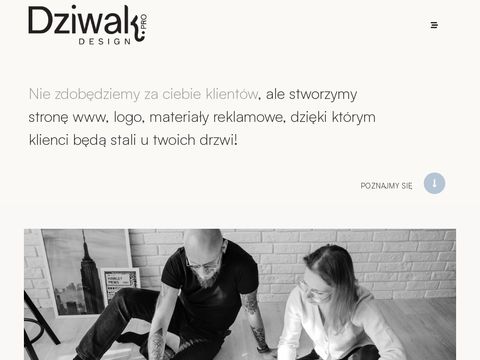 Madebydziwak.pl - strony internetowe Katowice