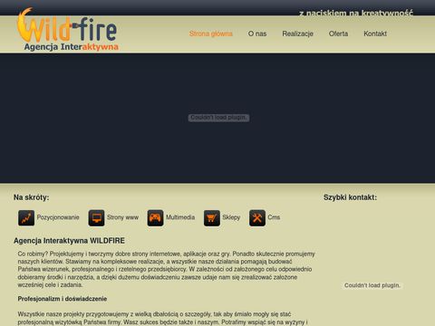 Wildfire.pl - reklama w Google