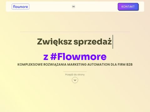 Flowmore - rozwiązania marketing automation