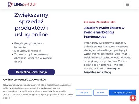 DNS Group agencja interaktywna Warszawa