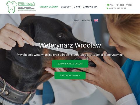 Witold Janeczek złamany ząb u psa