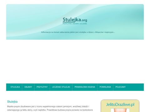 Stulejka.org portal leczenia
