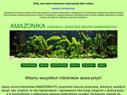 Amazonika.pl hodowla roślin akwariowych