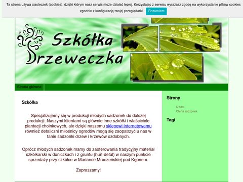 Drzeweczka.pl szkółka drzew i krzewów ozdobnych