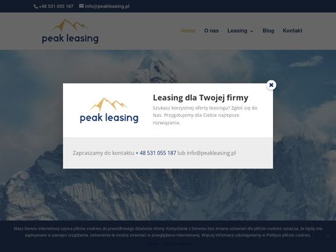 Peakleasing.pl dla firm