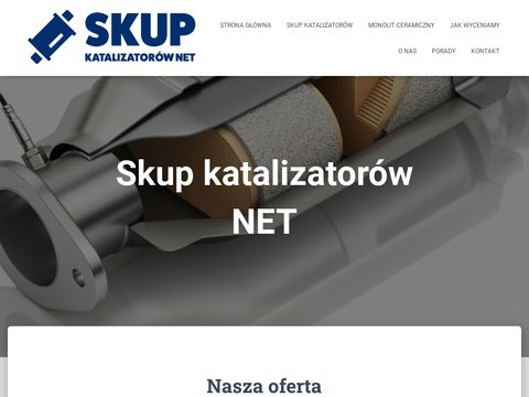 Skupkatalizatorow.net