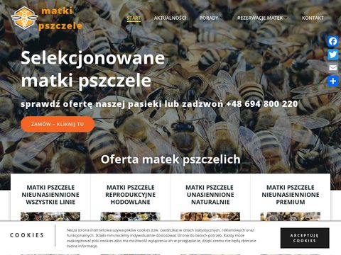 Przewozy-gdansk.pl kompleksowe przeprowadzki