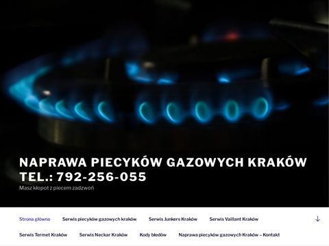 Naprawa piecyków gazowych Kraków