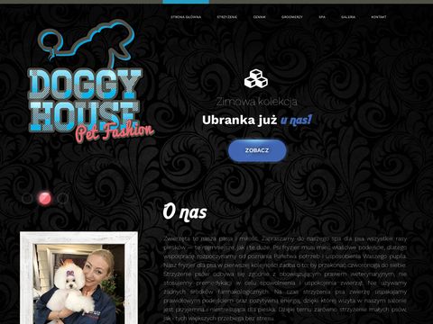 Doggyhouse.pl fryzjer dla psa
