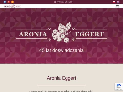 Aronia.org.pl - szkółka