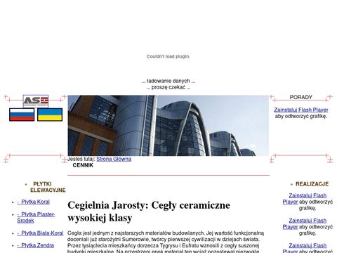 Jarosty.pl cegła kanalizacyjna