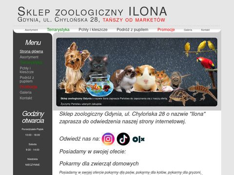 Tani sklep zoologiczny Gdynia