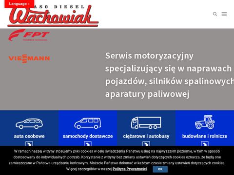 Wachowiak.pl - naprawa wtryskiwaczy