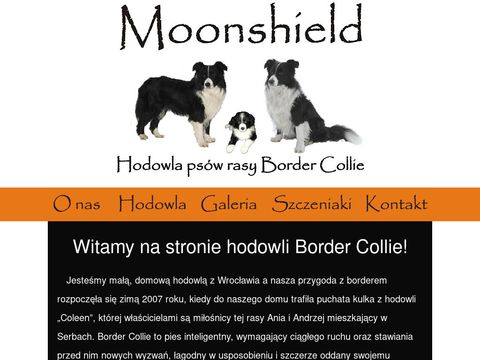 Bordercollie.org.pl - hodowla psów