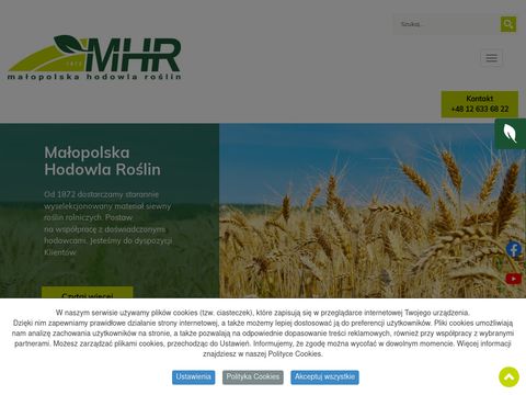HBP Spółka z o.o. hodowla buraka pastewnego