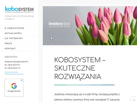 KoboSystem - agencja interaktywna