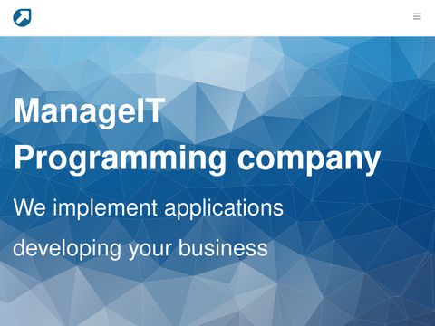 Manage IT programy na zamówienie