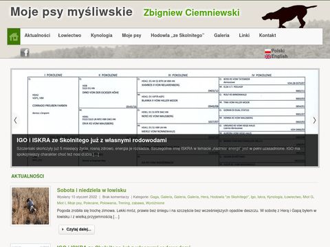 Psymoje.pl myśliwskie, wyżeł niemiecki