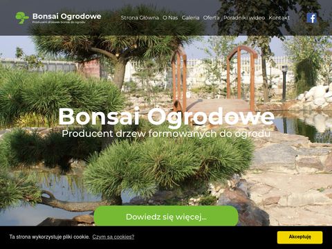 Bonsaiogrodowe.pl - drzewa do ogrodu japońskiego