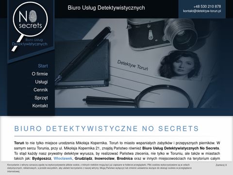 No Secrets - detektyw Toruń