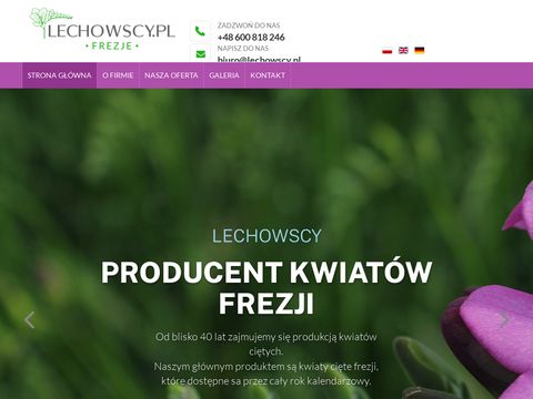 Lechowscy.pl producent frezji
