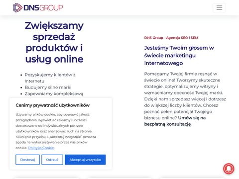 DNS Group agencja interaktywna Warszawa